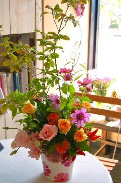 すっかり秋の花です。｜「フラワーショップ　あきの」　（静岡県御前崎市の花キューピット加盟店 花屋）のブログ
