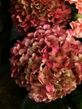 おすすめの花：あじさい｜「フラワーショップ　あきの」　（静岡県御前崎市の花キューピット加盟店 花屋）のブログ