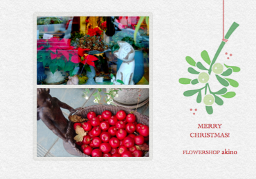 Merry Christmas!｜「フラワーショップ　あきの」　（静岡県御前崎市の花キューピット加盟店 花屋）のブログ