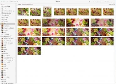 トップページのバナーを秋バージョンに変えました！｜「フラワーショップ　あきの」　（静岡県御前崎市の花キューピット加盟店 花屋）のブログ